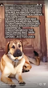 Σοφία Μπεκατώρου: Το σκληρό μήνυμα που έστειλε στον ασυνείδητο οδηγό, ο οποίος παρέσυρε τον σκύλο της