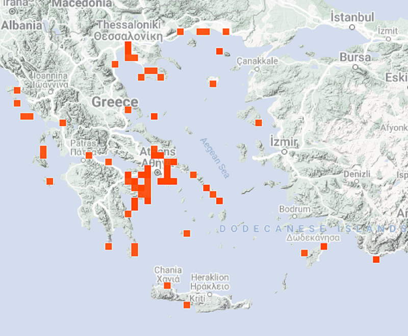 Μωβ μέδουσες: Πού εντοπίζονται -Οι επικίνδυνες παραλίες της Αττικής