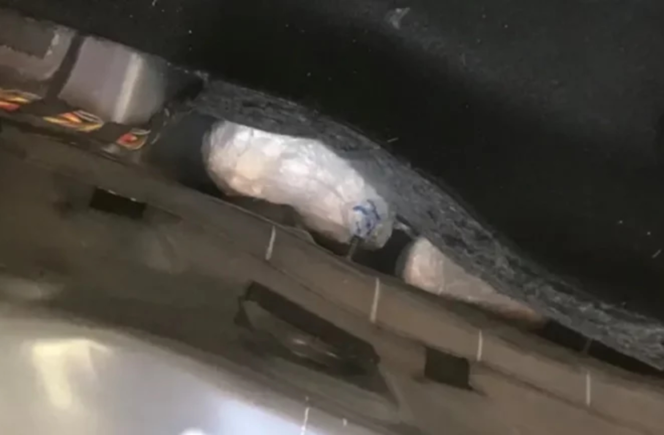 Βίντεο από τη στιγμή εντοπισμού κοκαΐνης στο αυτοκίνητο παίκτη ριάλιτι