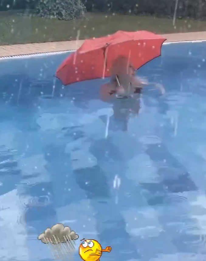 Αννίτα Πάνια: «Τρελάθηκε» με τον καιρό - Βούτηξε στην πισίνα με την... ομπρέλα (ΦΩΤΟ)