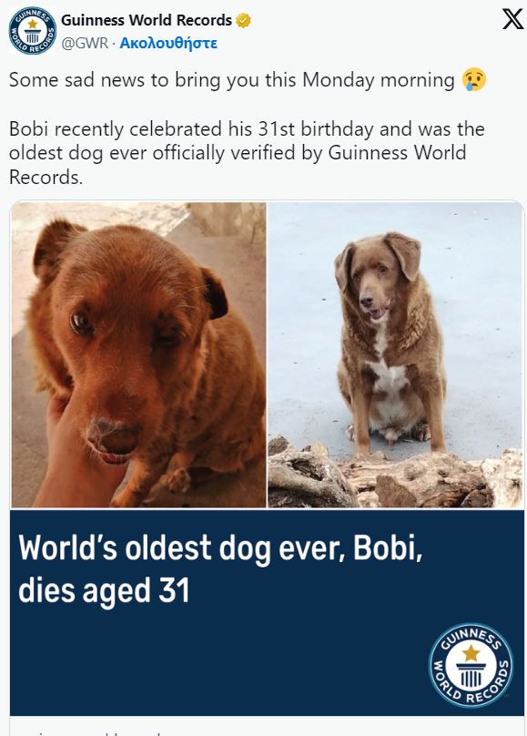 Θλίψη: Πέθανε ο γηραιότερος σκύλος στον κόσμο, Μπόμπι - Σε ηλικία 31 ετών (VIDEO)