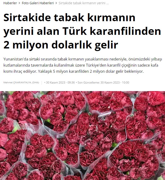 «Σκάμε» 2 εκατ. δολάρια στην Τουρκία για να μας στείλει γαρύφαλλα για «λουλουδοπόλεμο»!