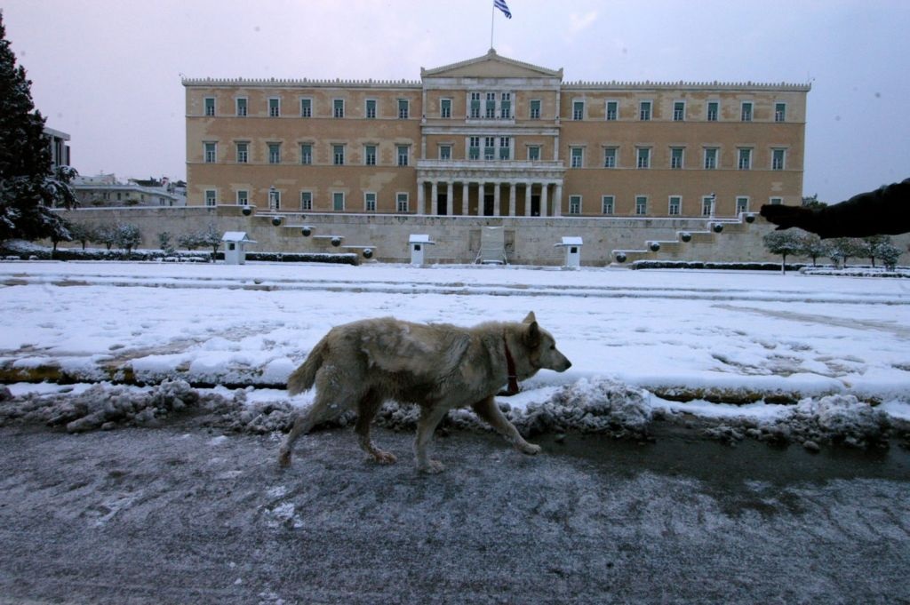 Καλλιάνος: «Δεν θα χιονίσει στο κέντρο της Αθήνας» (VIDEO)