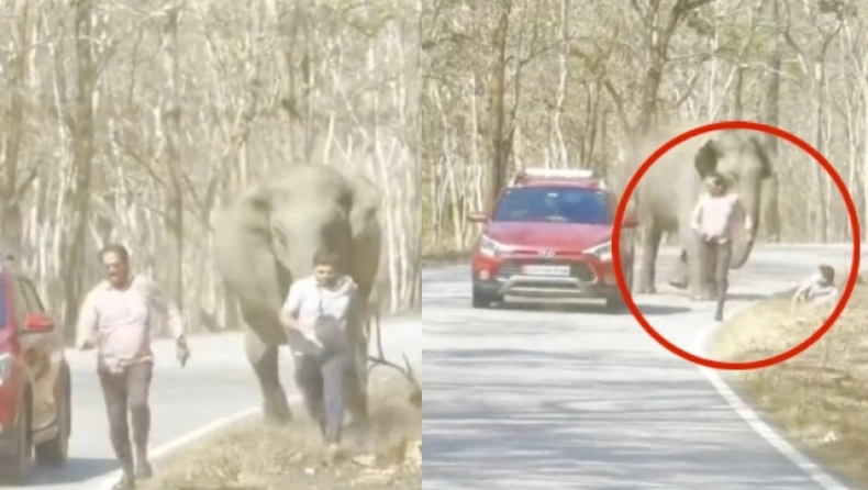 Ελέφαντας πήρε στο κυνήγι τουρίστες: Οι απελπισμένες προσπάθειες για να σωθούν (VIDEO)