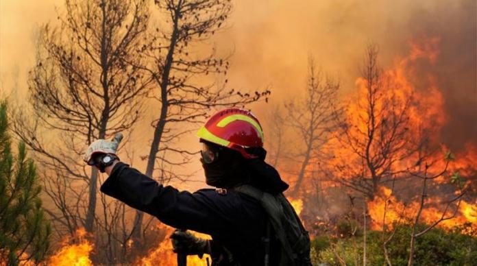 Γιατί έχουμε πυρκαγιές από τον Μάρτιο - Συναγερμός από την Πυροσβεστική για τον καθαρισμό των οικοπέδων