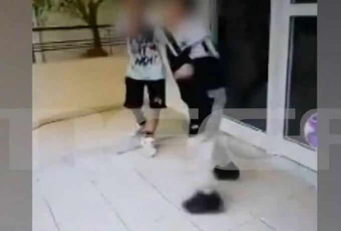 Πάτρα: Σοκαριστικό το βίντεο ξυλοδαρμού 8χρονου από 7χρονο - «Δεν ζήτησε συγγνώμη», λέει η μητέρα του θύματος
